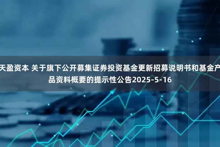 天盈资本 关于旗下公开募集证券投资基金更新招募说明书和基金产品资料概要的提示性公告2025-5-16