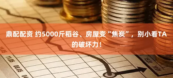 鼎配配资 约5000斤稻谷、房屋变“焦炭”,别小看TA的破坏力!