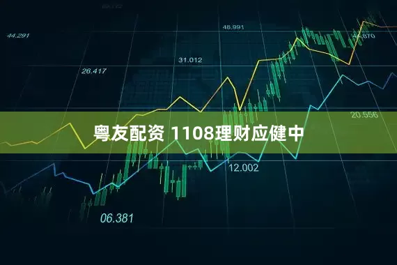 粤友配资 1108理财应健中