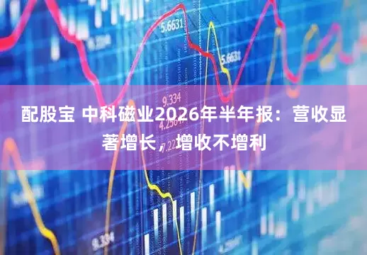 配股宝 中科磁业2026年半年报：营收显著增长，增收不增利